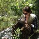 Stream Team Arroyo Sequit Leo Carrillo Malibu Creek California newts